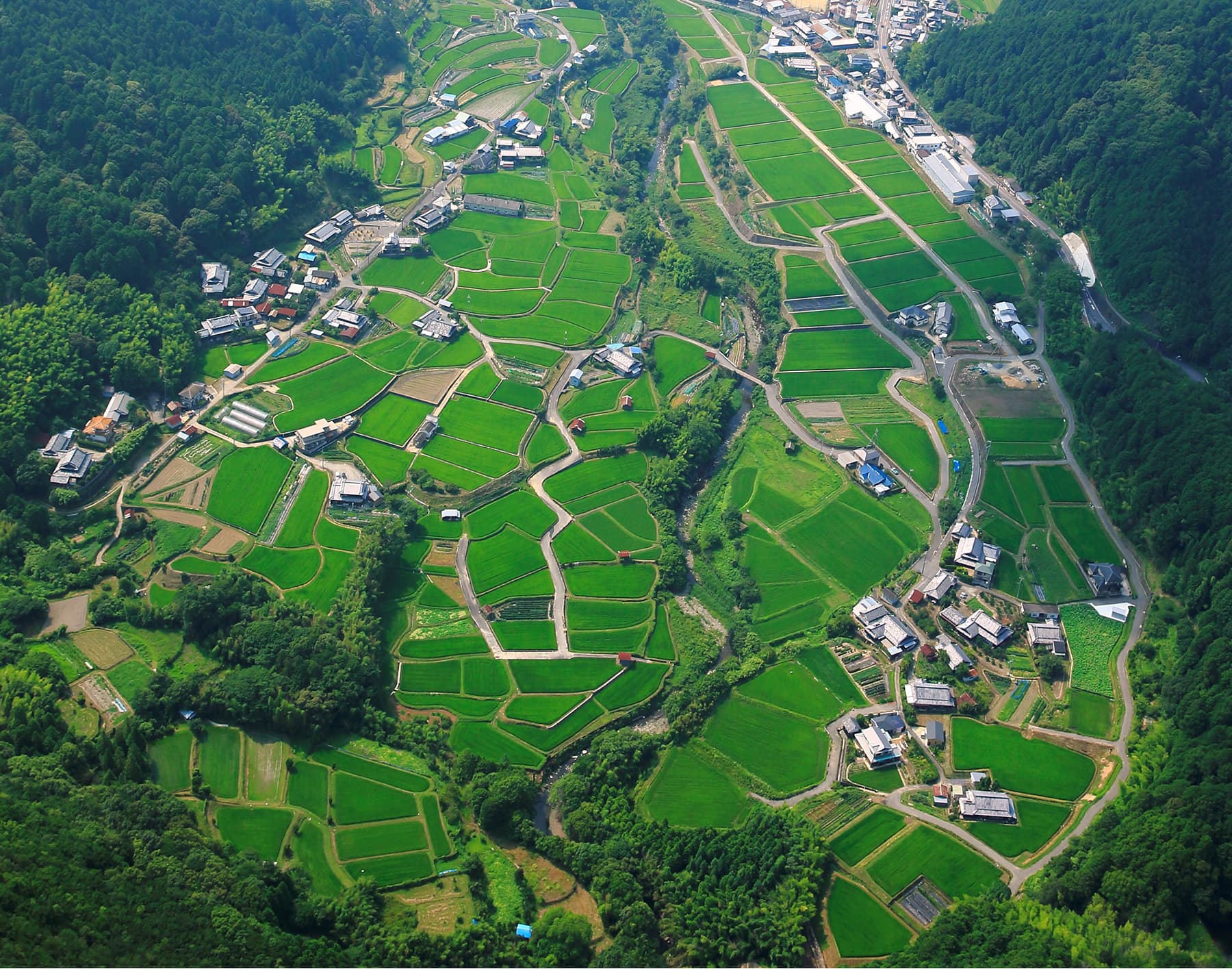 大木地区の田園風景